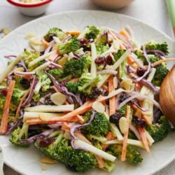 Fresh vegetable cabbage slaw with broccoli, carrots, cranberries, and almonds on a white plate.