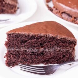Decadent chocolate cake with rich frosting and moist crumb on a white plate. Perfect for chocolate lovers.