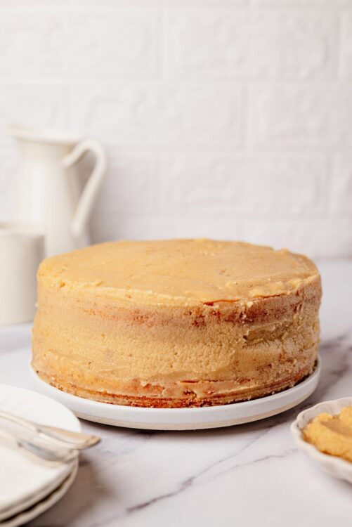 Creamy vanilla bean cheesecake with smooth, golden crust on a white plate. Perfect for special occasions or celebrations.