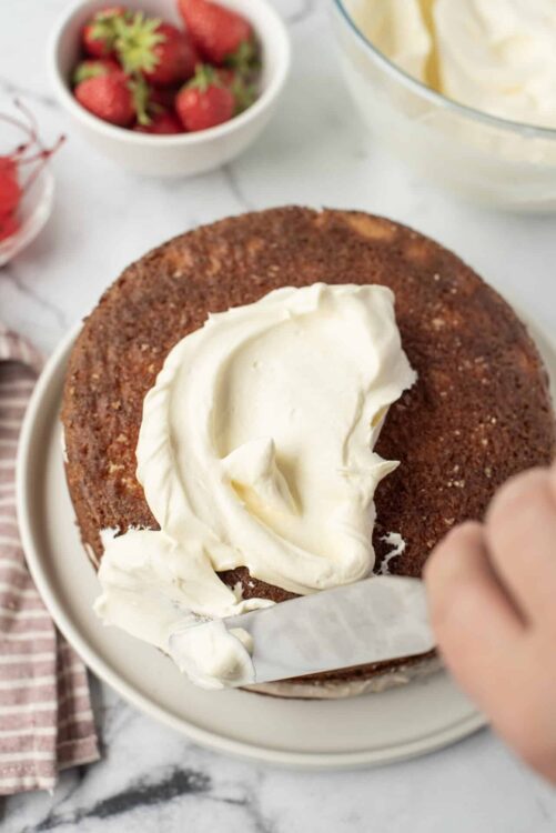 Freshly baked chocolate cake with creamy frosting, ready to be served. Perfect for dessert or special occasions.