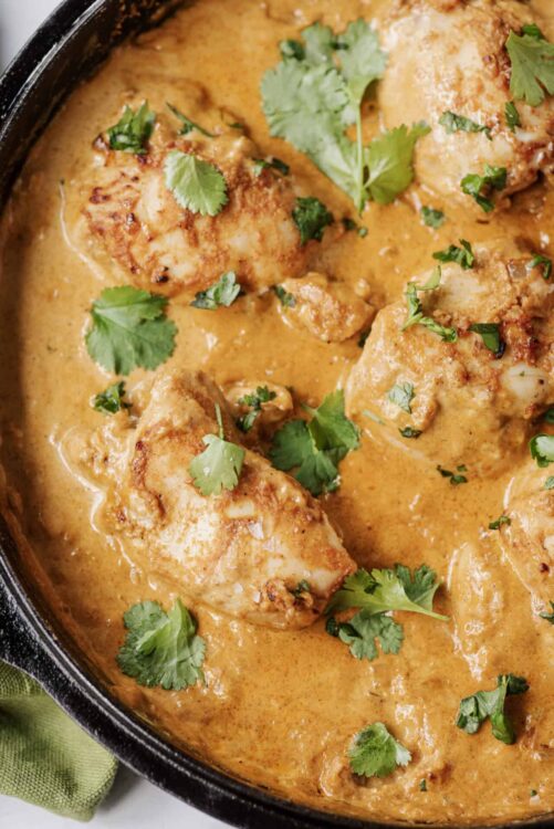 Savory chicken curry in creamy sauce with cilantro garnish.