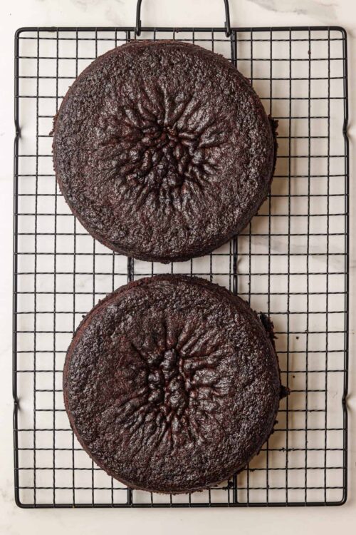 Rich chocolate cakes with a glossy finish on a cooling rack.