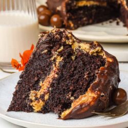 Chocolate caramel zebra cake with ganache slice on plate, with milk and autumn leaves background.