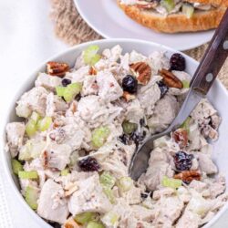 Creamy chicken salad with pecans, cranberries, and celery in a white bowl.