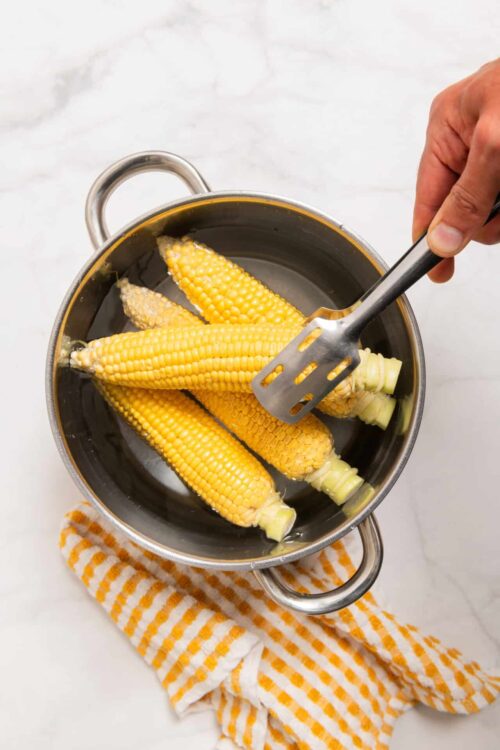 Fresh corn on the cob boiling in a stainless steel pot for homemade baked corn recipes.