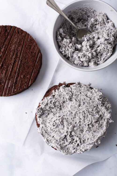 Chocolate cake with chocolate frosting and sprinkles, topped with coconut frosting and shredded coconut, on a white background.