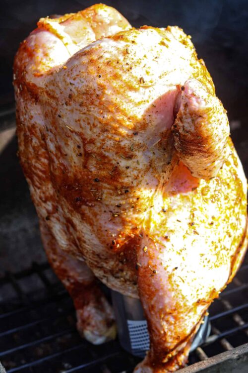 Juicy spatchcocked chicken roasted with herbs and spices on a grill.