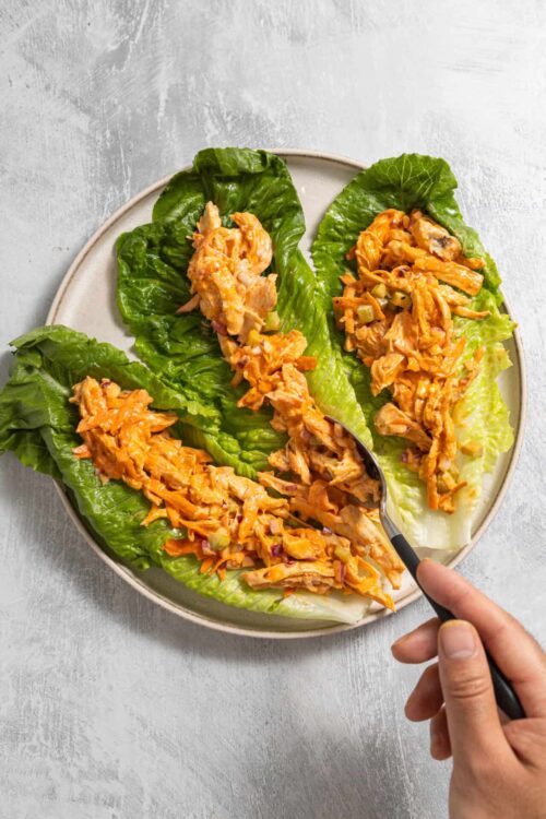 Savory shredded chicken lettuce wraps with spicy sauce on fresh romaine leaves.