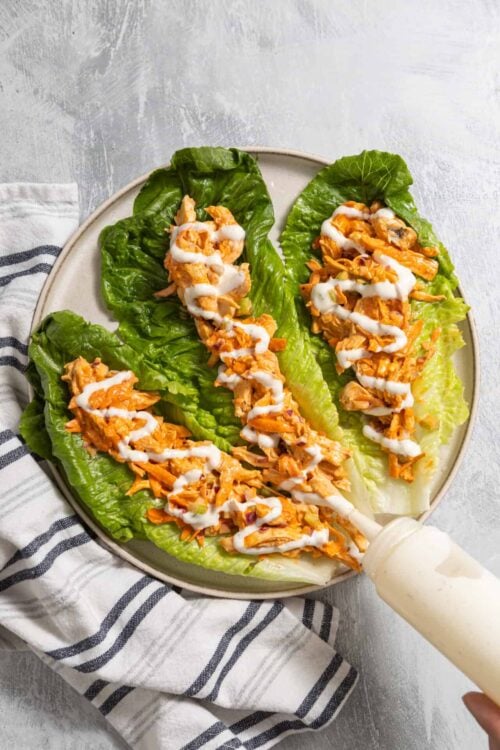 Baked Bree shredded chicken lettuce wraps with drizzled sauce and fresh greens.