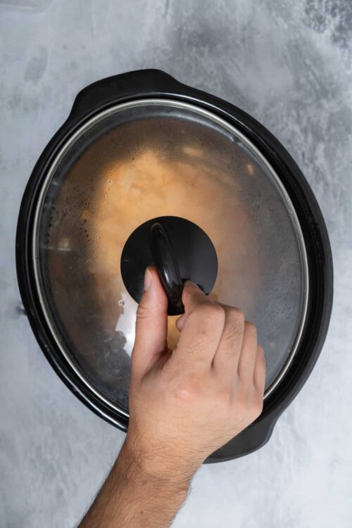 Baked Bree, cooking with an Instant Pot, making homemade recipes in a black electric pressure cooker.