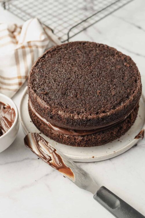 Rich chocolate cake with ganache layered inside and topped with a crumb coating.