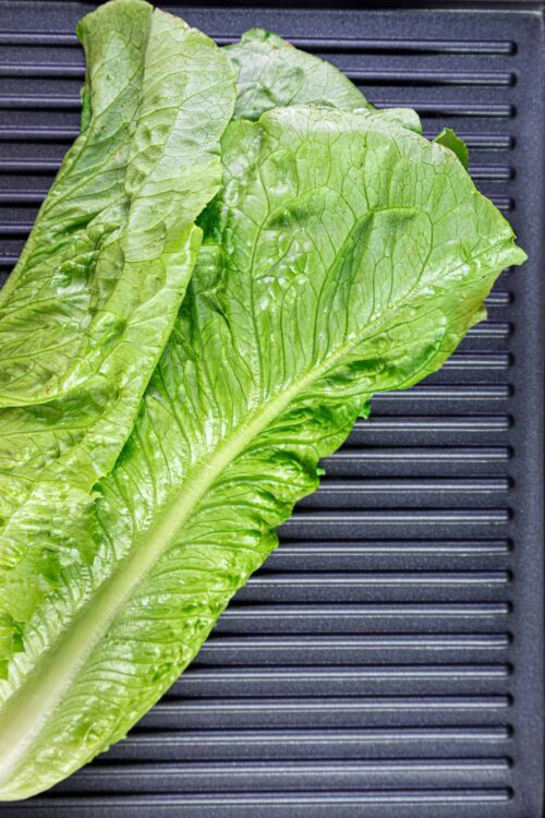 Fresh romaine lettuce leaves for healthy salads and recipes.