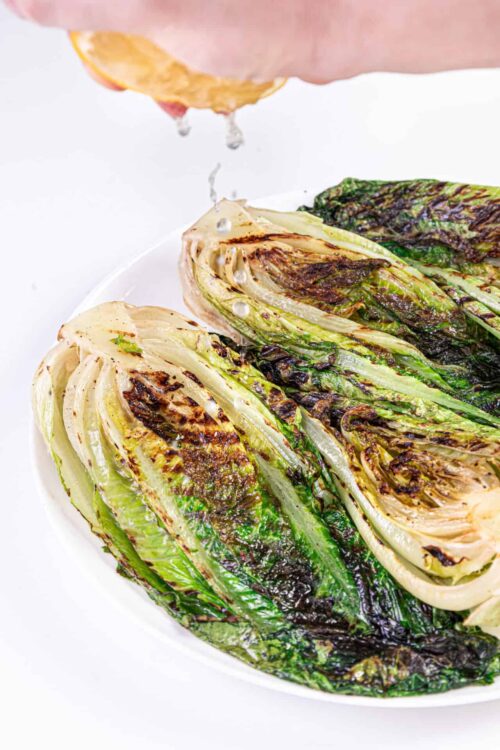 Grilled romaine lettuce salad with charred edges and lemon dressing drizzling, served on a white plate.
