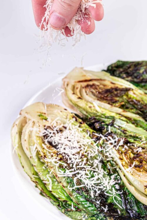 Creamy grilled romaine lettuce halves topped with shredded cheese for a delicious salad or appetizer.