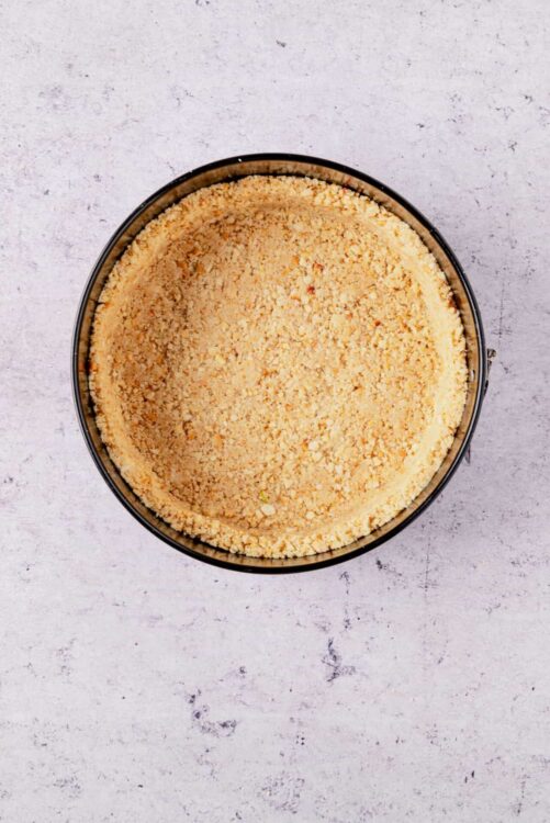 Golden graham cracker crust in a round springform pan.