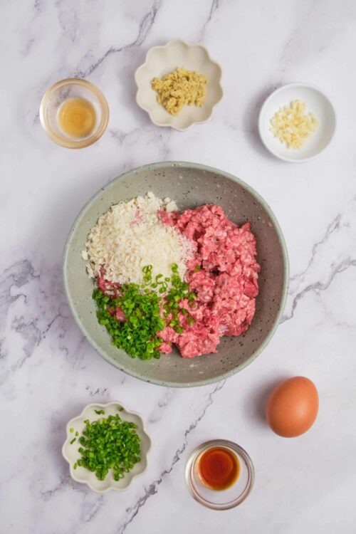 Ground meat mixture with green onions, cheese, and seasonings in a bowl.
