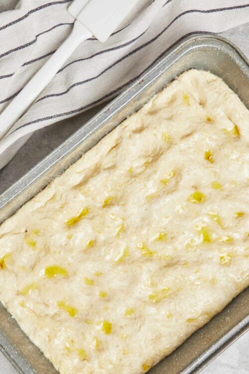 Butter squash baked casserole dish with grated cheese and herbs, ready to bake.