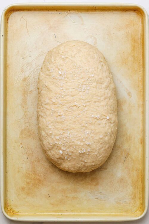 Fluffy uncooked bread dough with coarse sea salt on parchment paper.