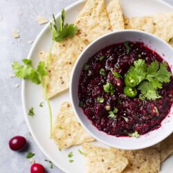 Creamy cranberry salsa with tortilla chips, garnished with cilantro and jalapeños, on a white plate for holiday snacking.