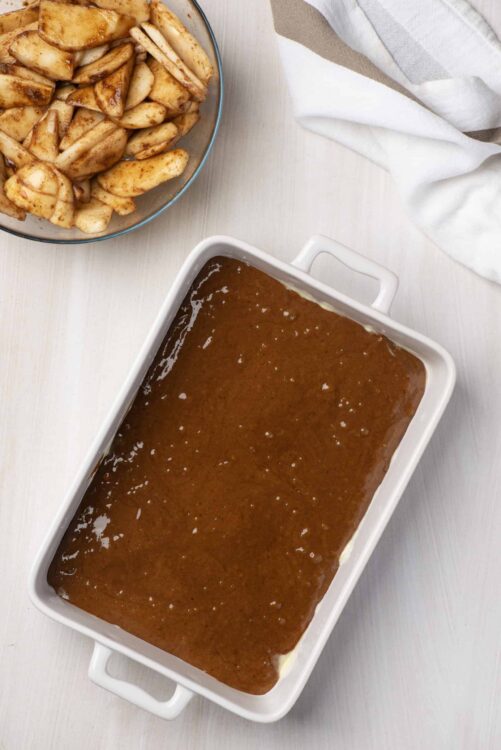 Savory barbecue sauce in a white ceramic dish with apple slices seasoned with cinnamon on a light background.