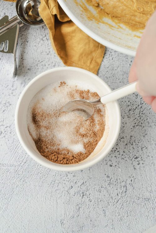 Ground cinnamon and sugar in a white bowl for baking.