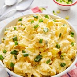 Creamy potato salad with green onions on white bowl, fresh and delicious.