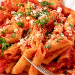 Creamy tomato pasta with fresh herbs and grated cheese, served on a white plate.