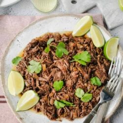 Shredded beef barbacoa with lime wedges and fresh cilantro on a rustic white plate. Perfect for tacos or burritos.