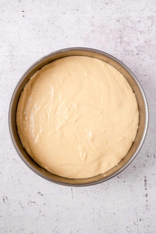 Fluffy cake batter in a prepared springform pan for baking.
