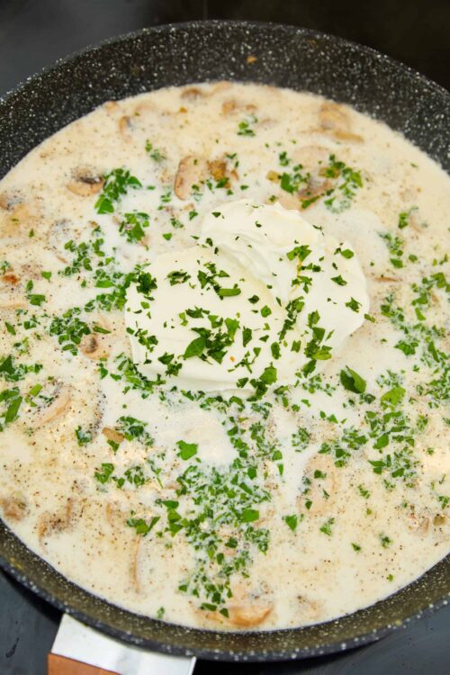 Creamy chicken and mushroom skillet with fresh herbs and sour cream.