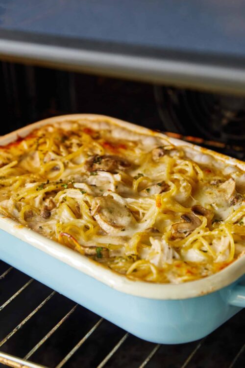 Creamy mushroom and chicken casserole in a baking dish, fresh out of the oven.