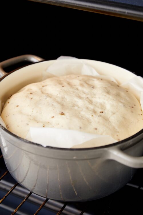 Creamy bread dough rising in a round baking dish in the oven, ready for baking.