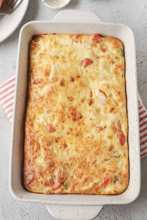 Creamy baked lasagna with melted cheese and fresh tomato toppings.