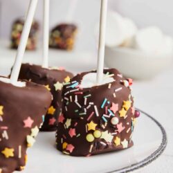Colorful chocolate-covered marshmallow pops with sprinkles on a white plate.