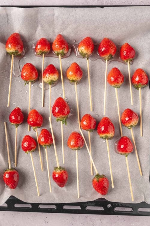 Fresh strawberry pops on baking sheet, ready to be dipped in chocolate for desserts.