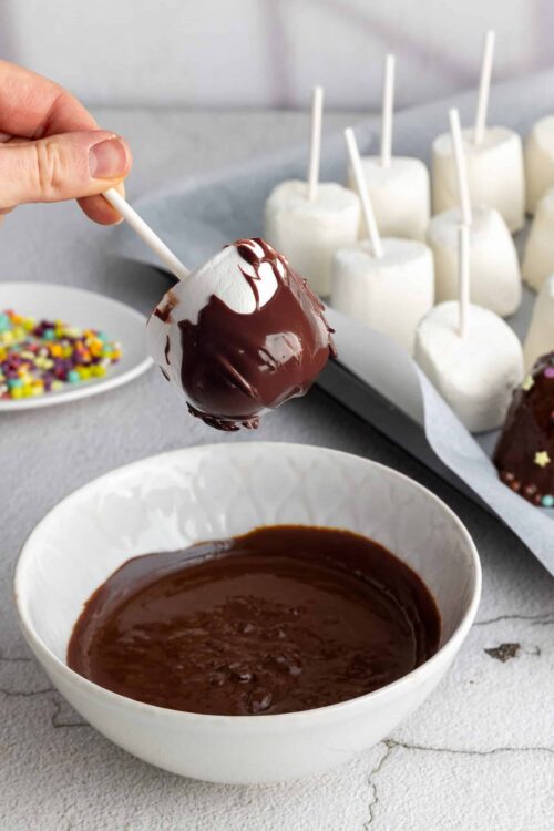 Sweet chocolate-covered marshmallow pop dipped in melted chocolate.