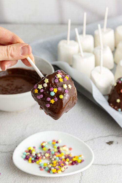 Delicious chocolate-covered marshmallow treat with colorful sprinkles on a stick.