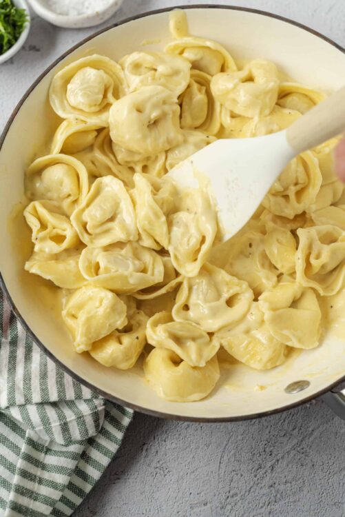 Creamy homemade cheese tortellini in a rich cheese sauce, perfect for comforting dinner recipes.