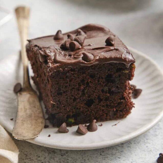 Rich chocolate cake with frosting and chocolate chips on plate.
