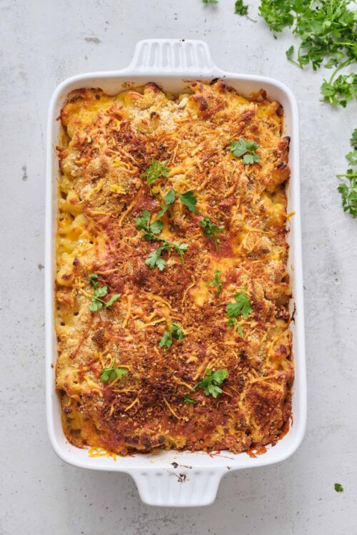 Cheesy baked pasta casserole with breadcrumbs and fresh herbs, served in a white baking dish.