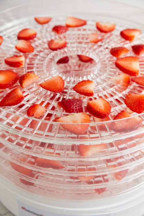 Fresh sliced strawberries on a dehydration tray for homemade fruit snacks or dried strawberry chips.