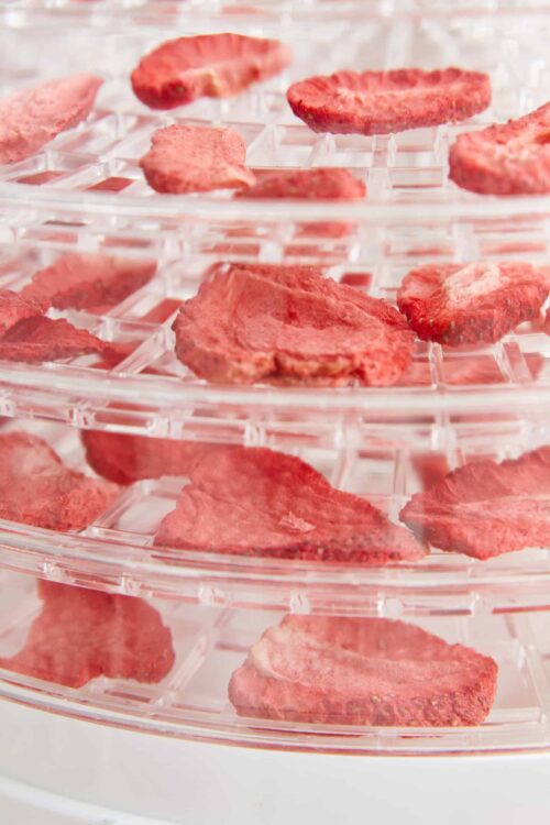 Dried strawberry slices on a clear, multi-tiered fruit drying rack for healthy snacks and baking.