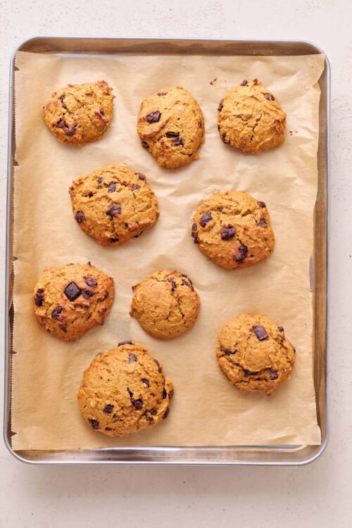 Soft chocolate chip cookies on baking sheet, fresh from oven.