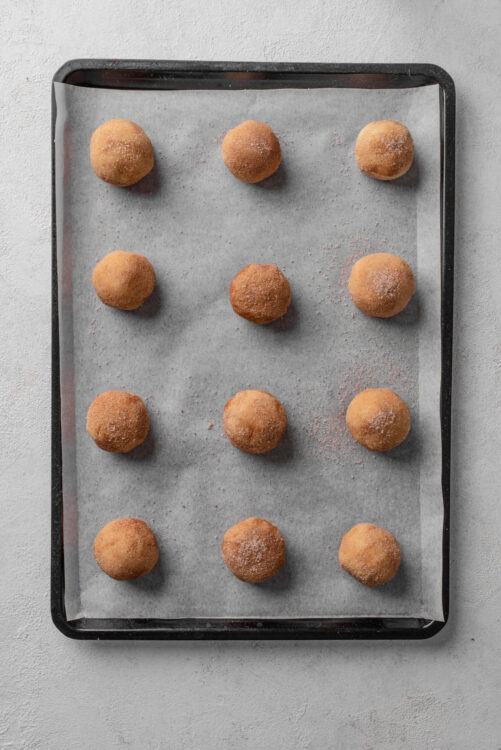 Creamy sugar-dusted homemade donut holes on baking sheet.