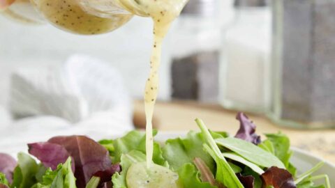 Vidalia Onion Dressing