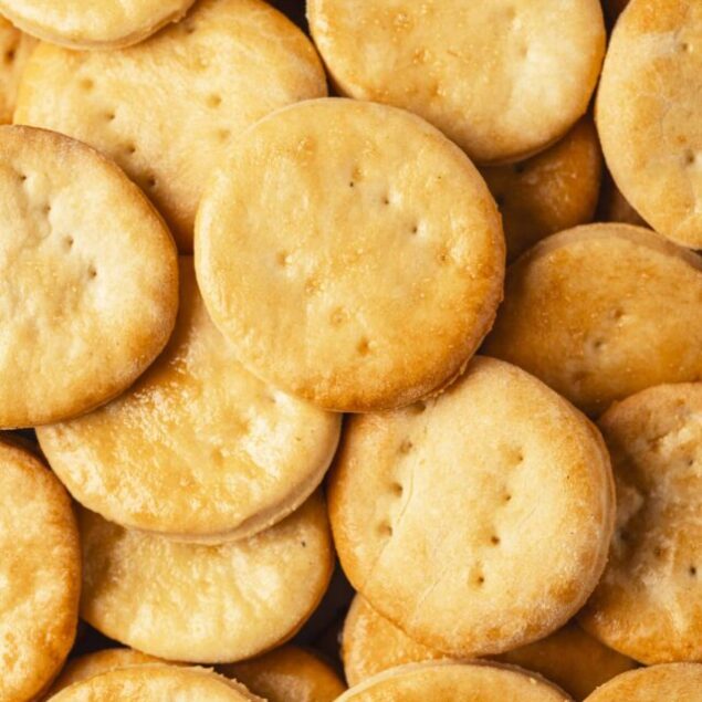 cropped-a-homemade_ritz_crackers-feature-2.jpeg