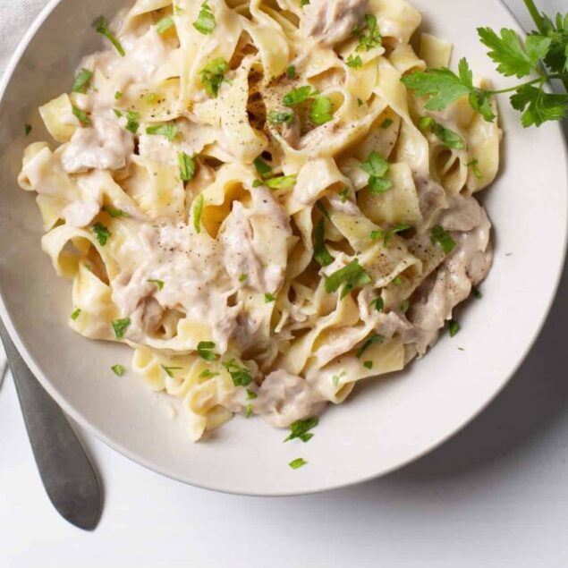 cropped-a-tuna_alfredo-feature-1.jpeg