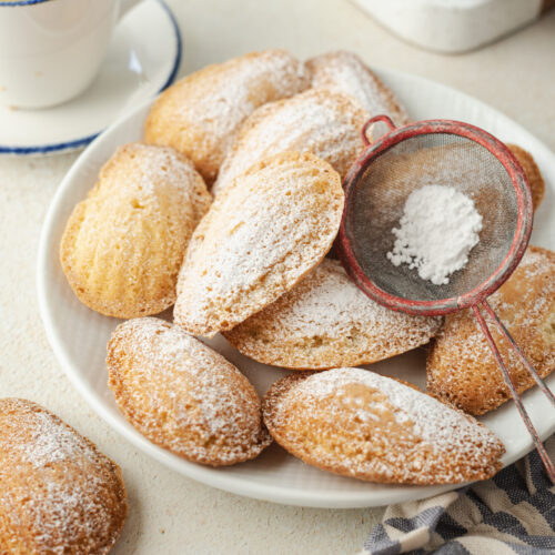 a-madeleines-feature-1-500x500