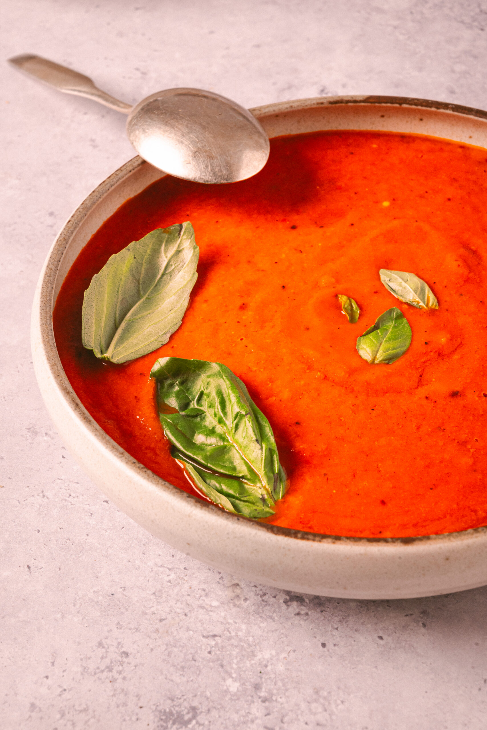 Roasted Red Pepper And Tomato Soup diagonal shot