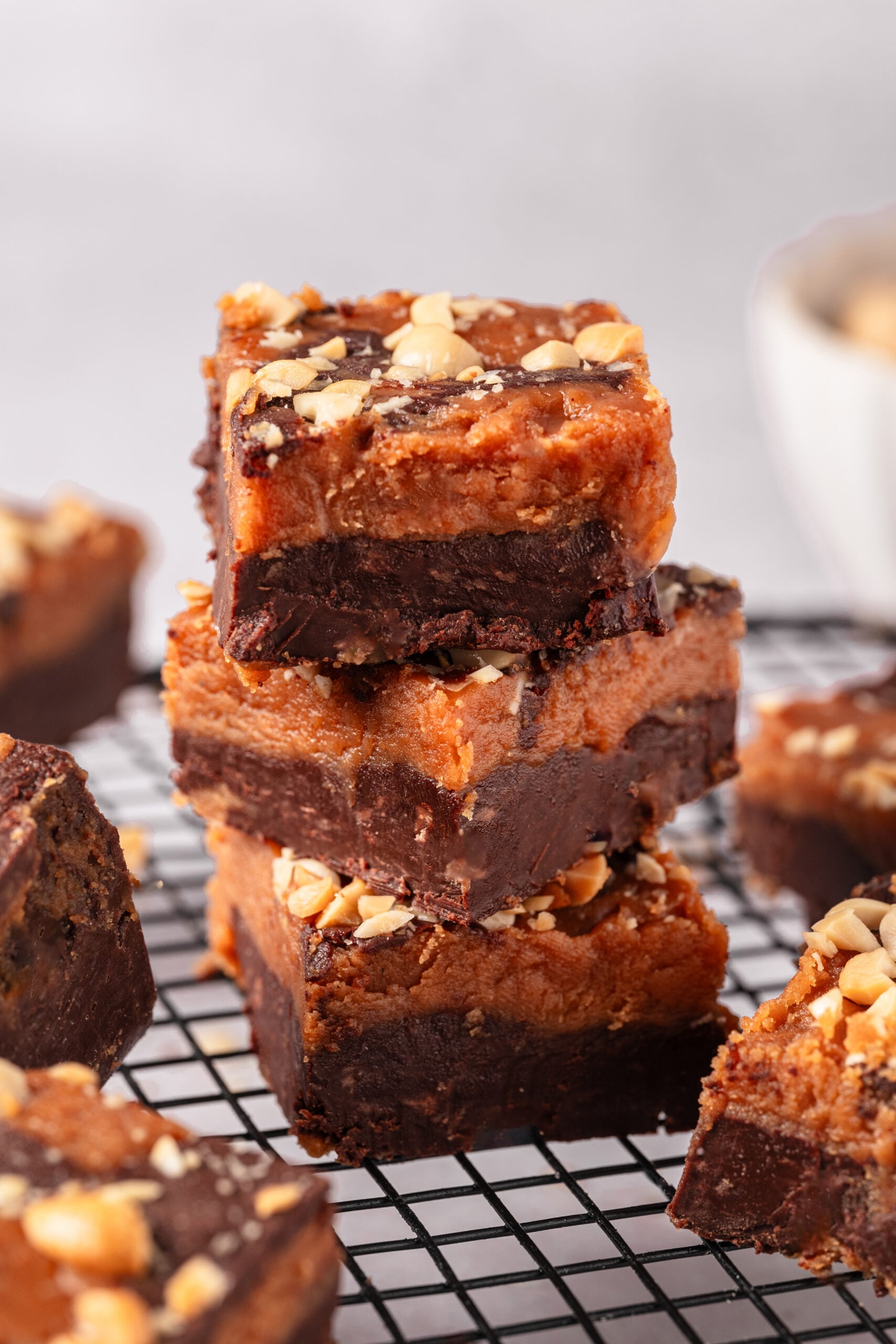 Chocolate Peanut Butter Fudge - bakedbree